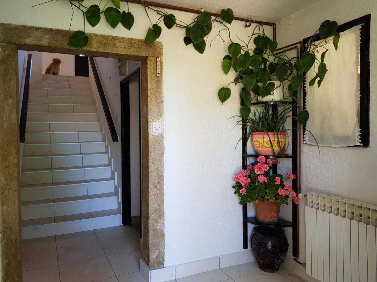 Apartment Melanie Skrbcici ภายนอก รูปภาพ